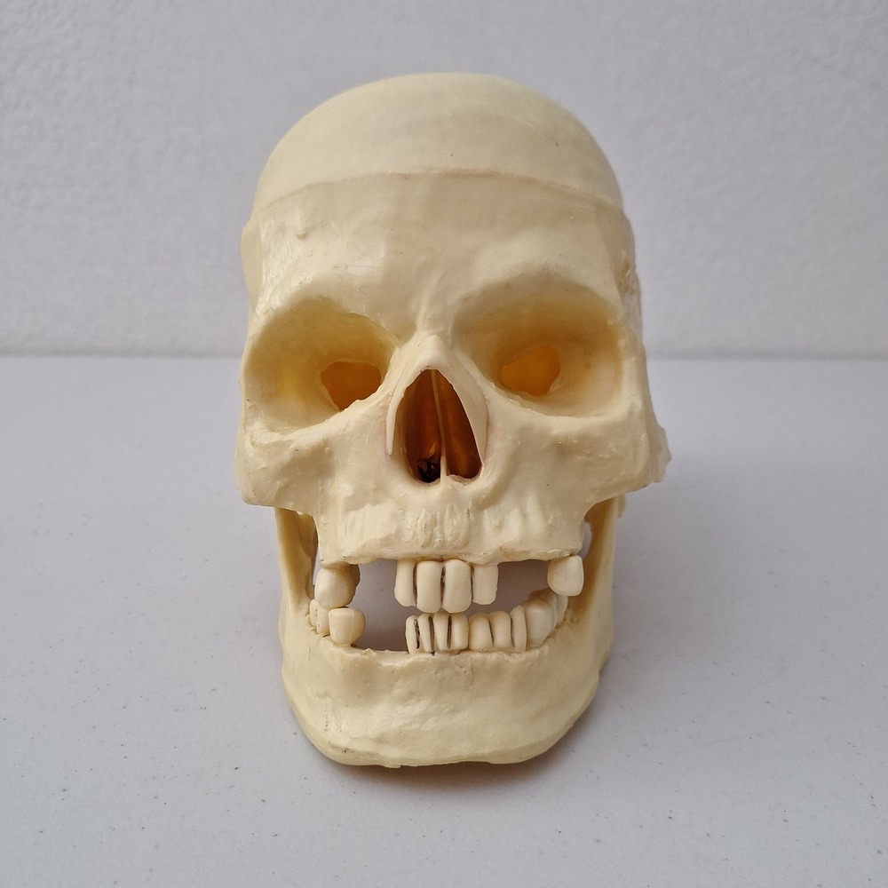 RARE Vintage 1995 Articulated Jaw Halloween Skull The Paper Magic Group 9.5"x8"